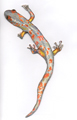 Painting: Salamander